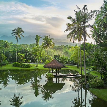 The Farm At San Benito Hotell Lipa City Exteriör bild