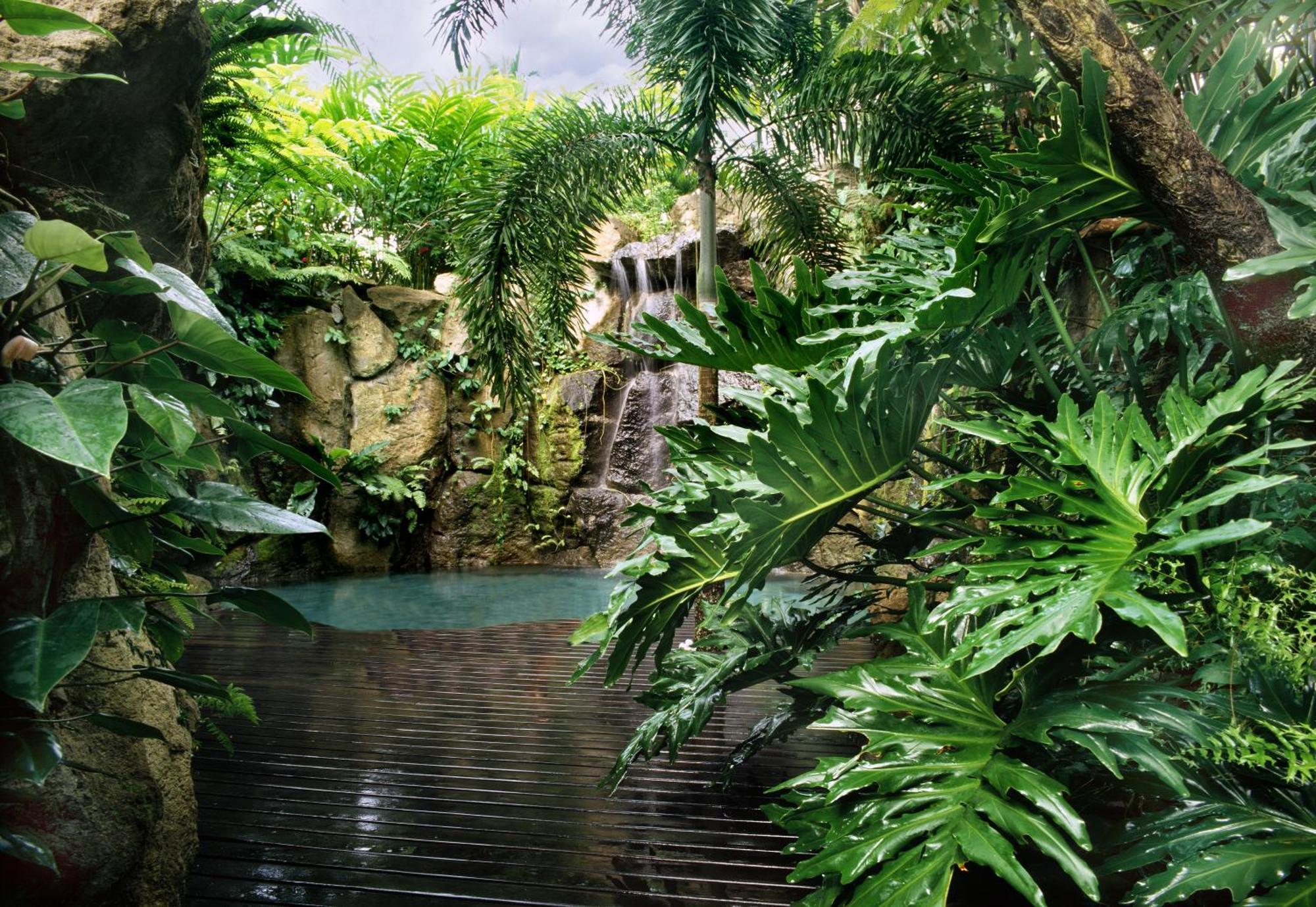The Farm At San Benito Hotell Lipa City Exteriör bild